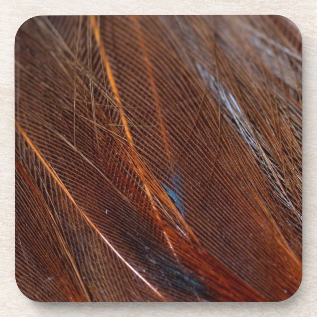 Colourful Peacock Feather in Detail Coaster (Front)
