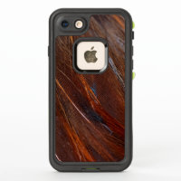 Colourful Peacock Feather in Detail