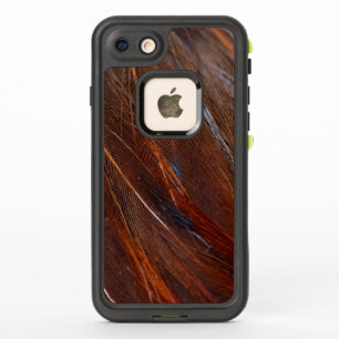 Colourful Peacock Feather in Detail