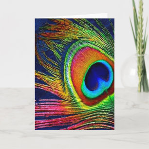 Colourful Peacock Feather Print Card