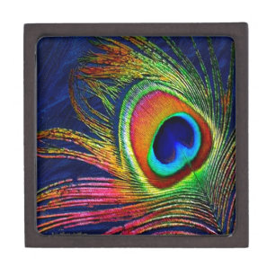 Colourful Peacock Feather Print Gift Box