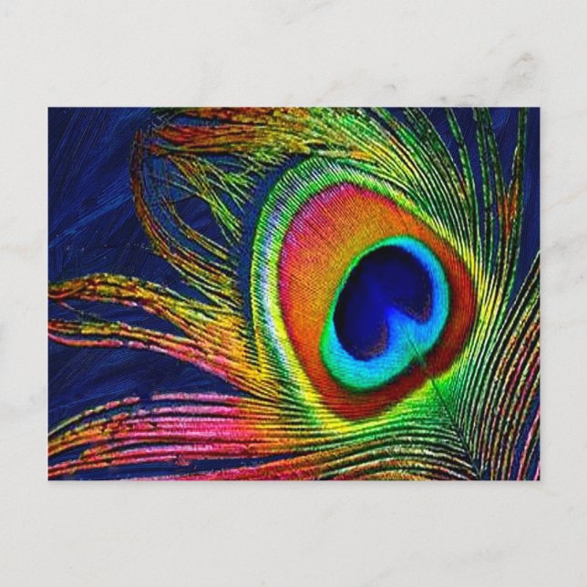 Colourful Peacock Feather Print Postcard (Front)