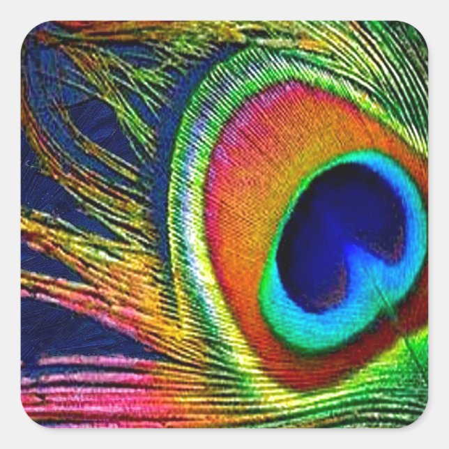 Colourful Peacock Feather Print Square Sticker (Front)