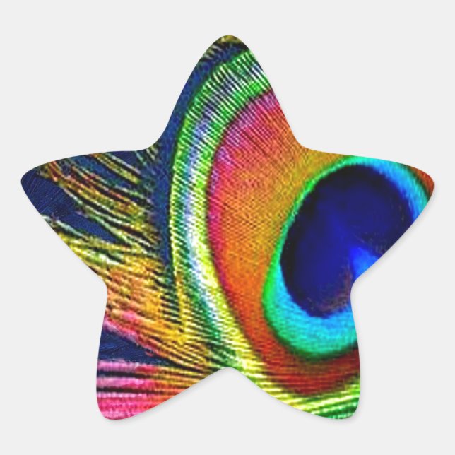 Colourful Peacock Feather Print Star Sticker (Front)