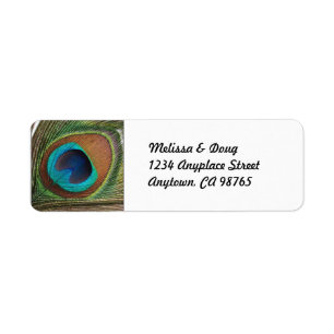 Colourful Peacock Feather Return Address Labels