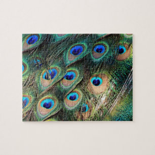 Colourful Peacock Feathers Jigsaw Puzzle