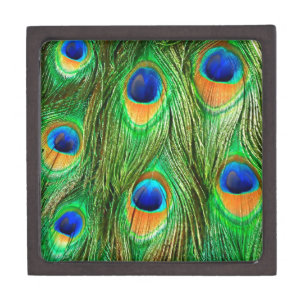 Colourful Peacock Feathers Print Keepsake Box