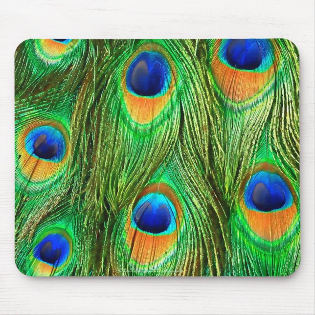 Colourful Peacock Feathers Print Mouse Mat (Front)
