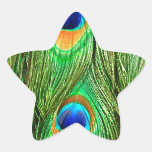 Colourful Peacock Feathers Print Star Sticker