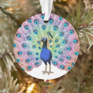 Colourful Peacock Ornament