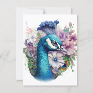 Colourful Peacock Postcard