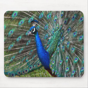 Colourful peacock print mouse mat