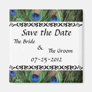 Colourful Peacock Save the Date Magnet