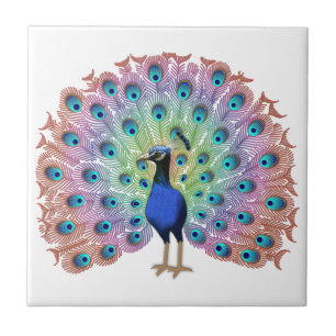 Colourful Peacock Tile