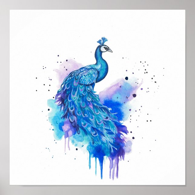 Colourful Peacock Watercolour Art Poster (Front)