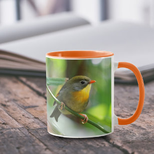 Colourful Pekin Robin Songbird on Branch Mug