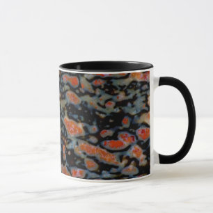 Colourful Petrified Dinosaur Bone Mug