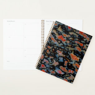 Colourful Petrified Dinosaur Bone Planner