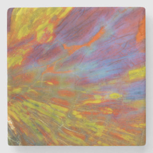 Colourful Petrified Wood close-up Stone Coaster