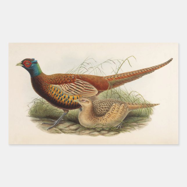 Colourful pheasant rectangular sticker (Front)