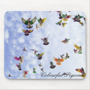 Colourful Pigeons Mouse Mat