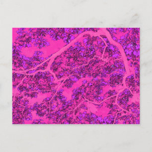 Colourful pink trees postcard