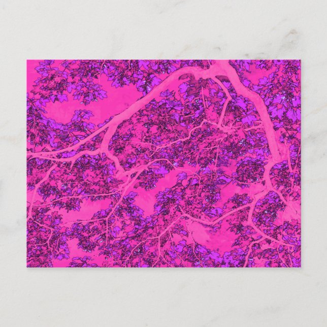 Colourful pink trees postcard (Front)