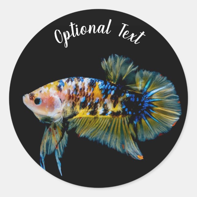 Colourful Planket Betta Fighting Fish Classic Round Sticker (Front)