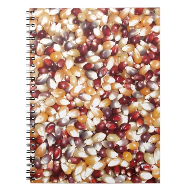 Colourful Popcorn Kernels Notebook (Front)