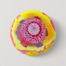 Colourful Poppy