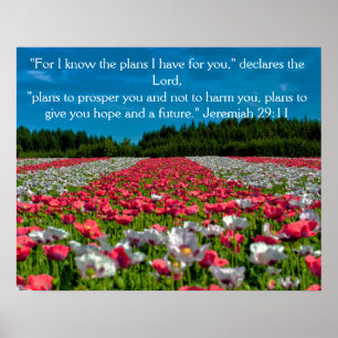 Colourful Poppy Field Photo Bible Verse Poster