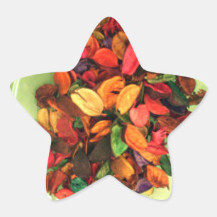 Colourful Potpourri: A Scent-sational Display Star Sticker