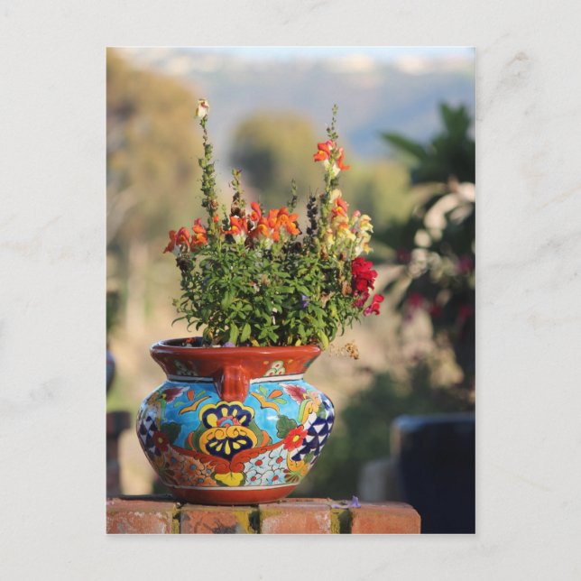 Colourful Pottery with Flowers [Still Life] Postcard (Front)