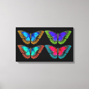 Colourful Pretty Butterfly Canvas Art Print