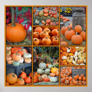 Colourful pumpkin collage poster