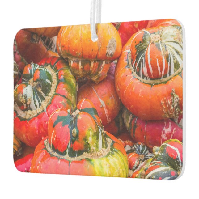 Colourful pumpkins car air freshener (Left)