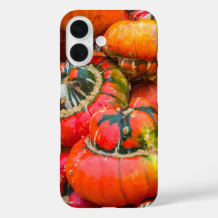 Colourful pumpkins iPhone 16 case