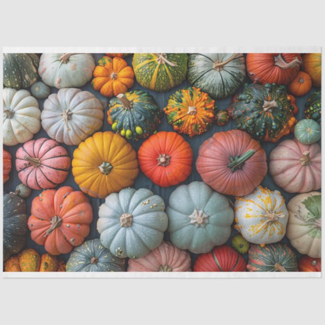 Colourful Pumpkins Gourds and Squash Decoupage Tissue Paper (Front)
