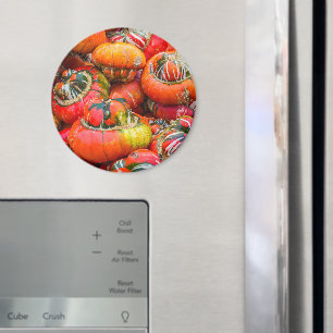 Colourful pumpkins magnet