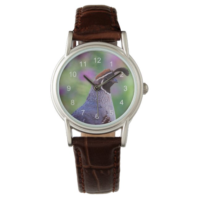 Colourful Quail Large Watch (Front)
