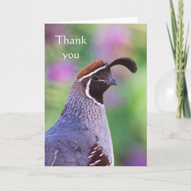 Colourful Quail, Thank you Card (Front)