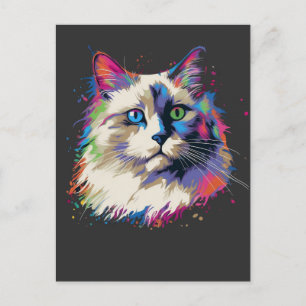 Colourful Ragdoll cat Postcard