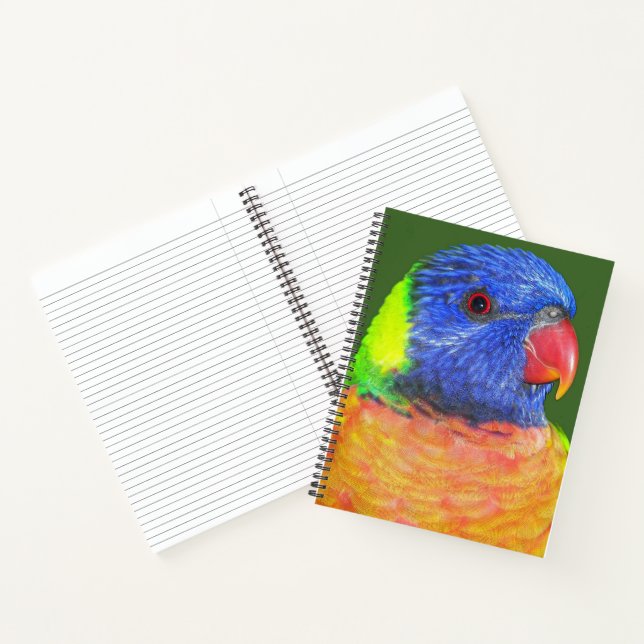 Colourful Rainbow Lorikeet Parrot Notebook (Inside)