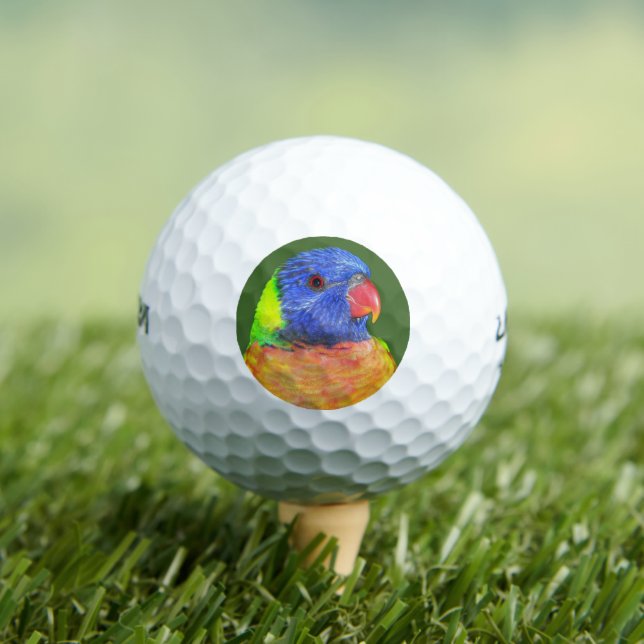 Colourful Rainbow Lorikeet Parrot Photo Golf Balls (Insitu Tee)