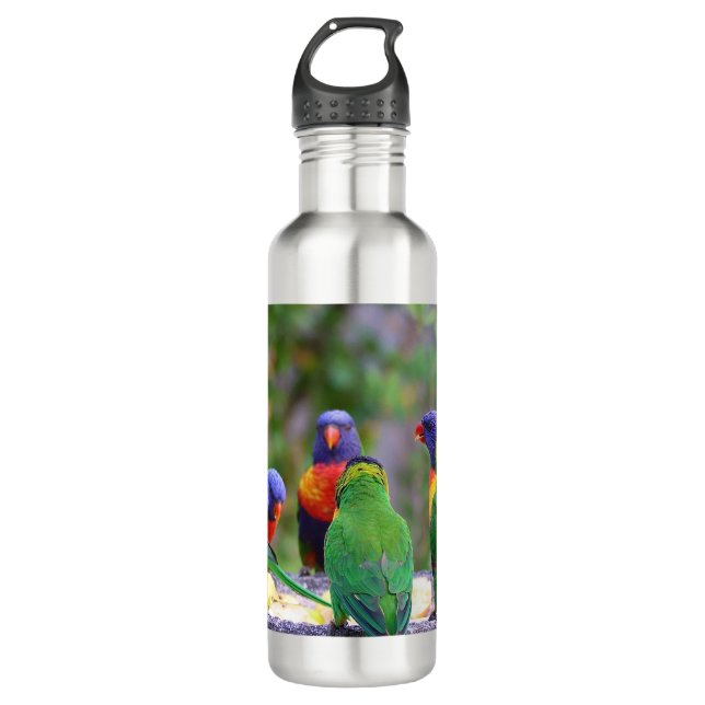 Colourful Rainbow Lorikeet Parrots Eating 710 Ml Water Bottle (Front)