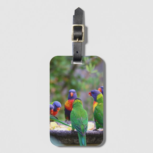Colourful Rainbow Lorikeet Parrots Eating Luggage Tag (Front Vertical)