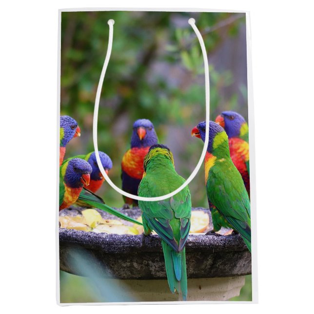 Colourful Rainbow Lorikeet Parrots Eating Medium Gift Bag (Front)