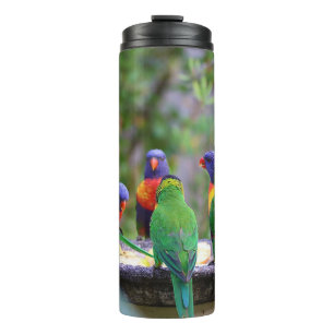 Colourful Rainbow Lorikeet Parrots Eating Thermal Tumbler