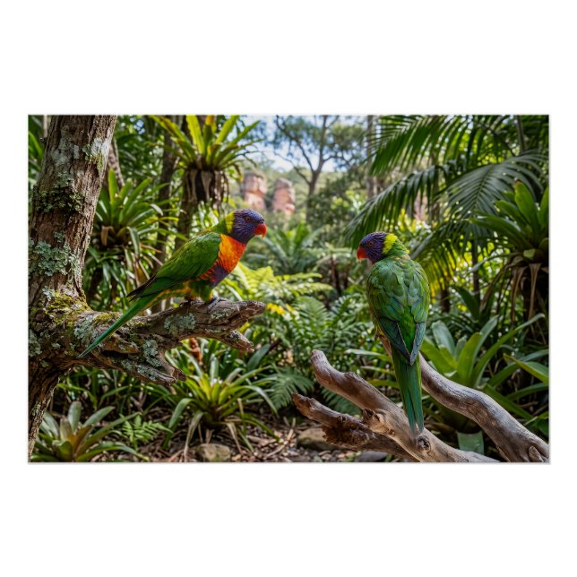 Colourful Rainbow Lorikeets Poster (Front)