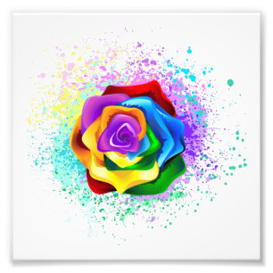 Colourful Rainbow Rose Photo Print